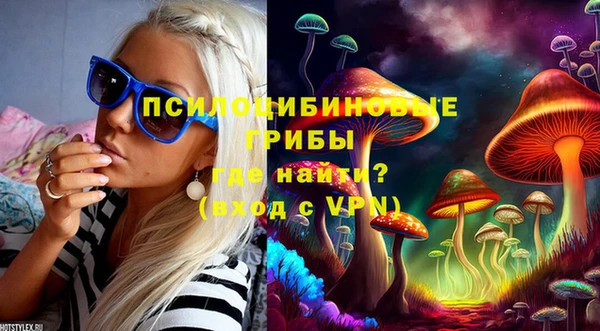 твердый Кулебаки