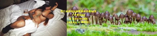 гидра Кукмор