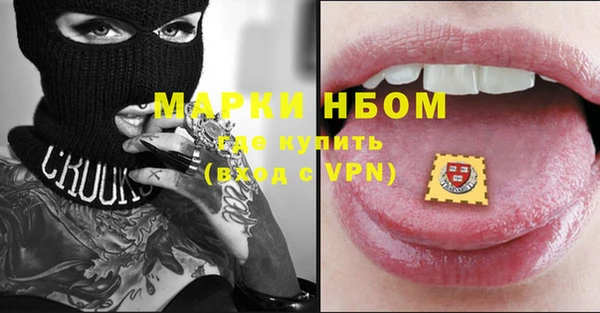 твердый Кулебаки