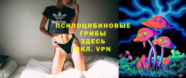 твердый Кулебаки