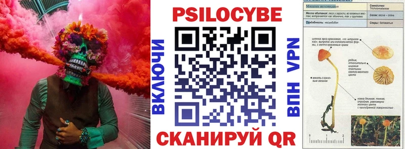 Псилоцибиновые грибы мицелий  где продают   Тейково 