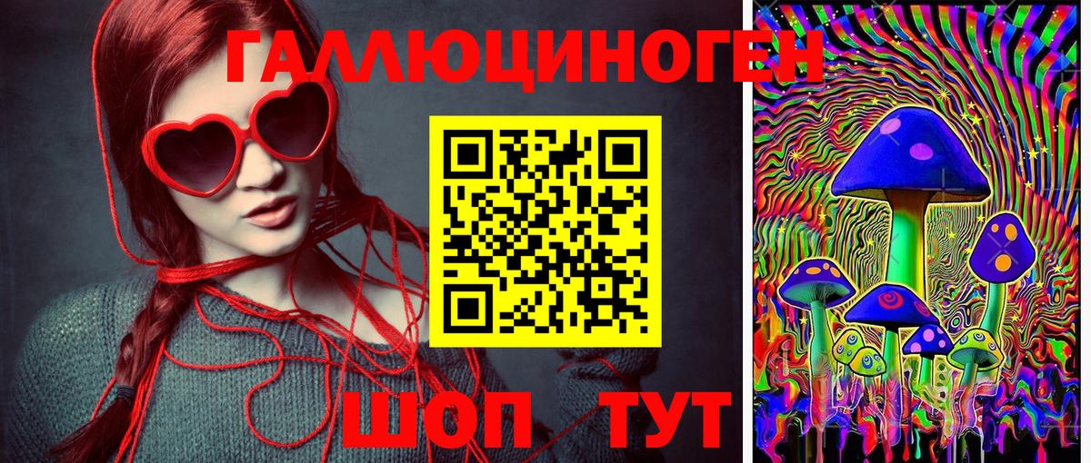 Псилоцибиновые грибы Psilocybe Тейково