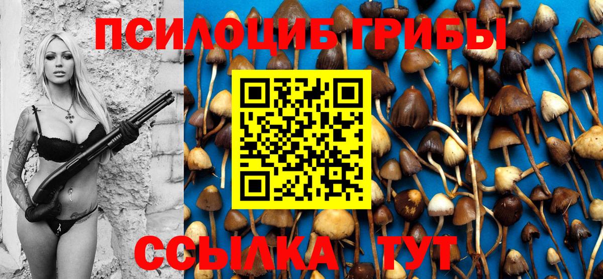 Тейково  Псилоцибиновые грибы Psilocybine cubensis  Вход с VPN 