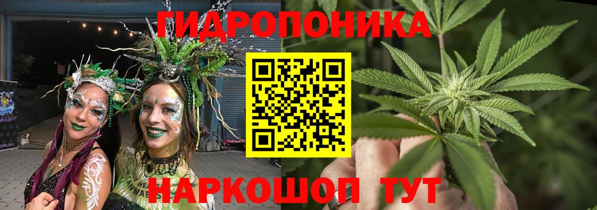 Каннабис THC 21%  Вход с VPN  Бошки марихуана гибрид  Тейково 